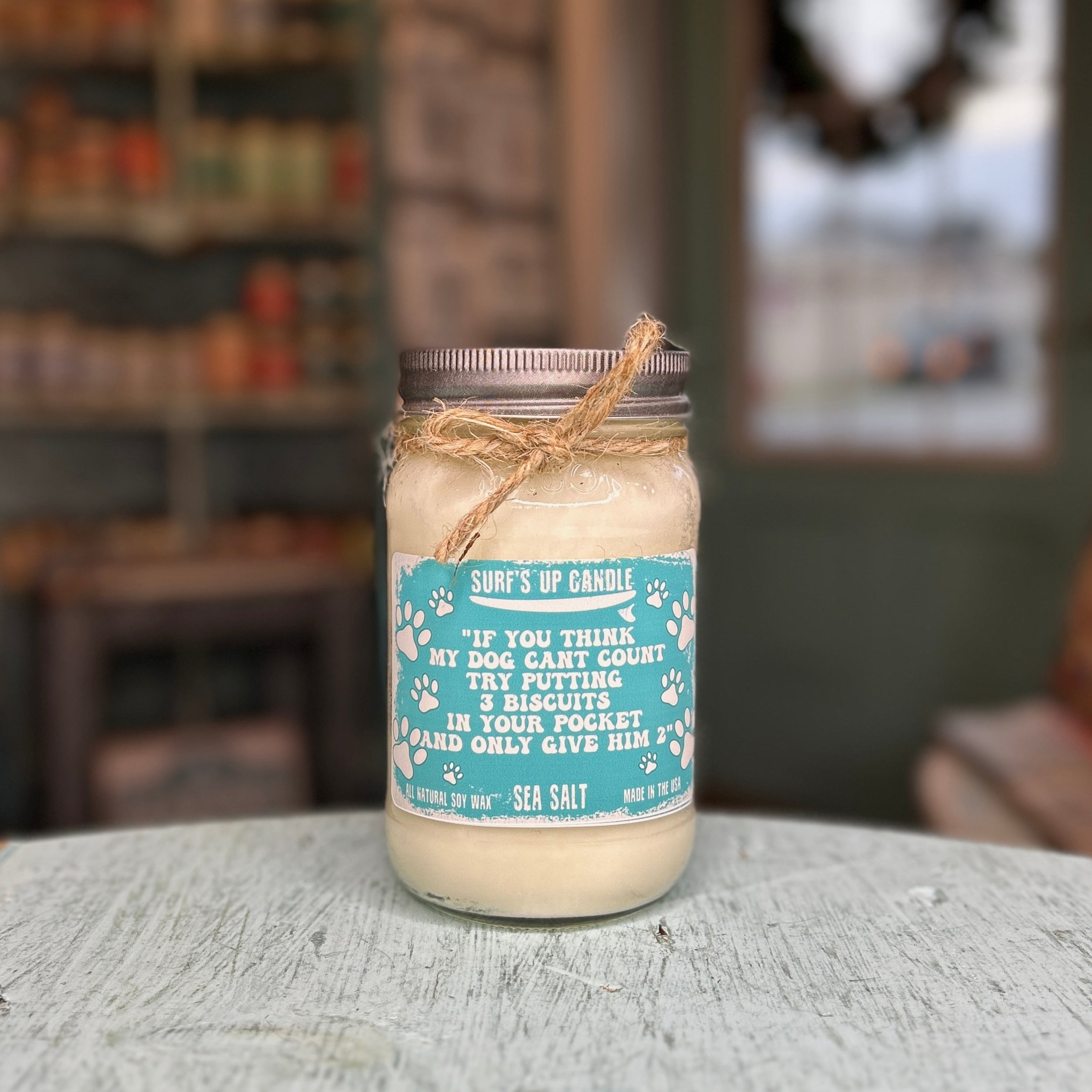 Salty Snouts Mason Jar Candle Trio - Paw-some Scents Collection